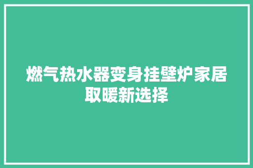 燃气热水器变身挂壁炉家居取暖新选择