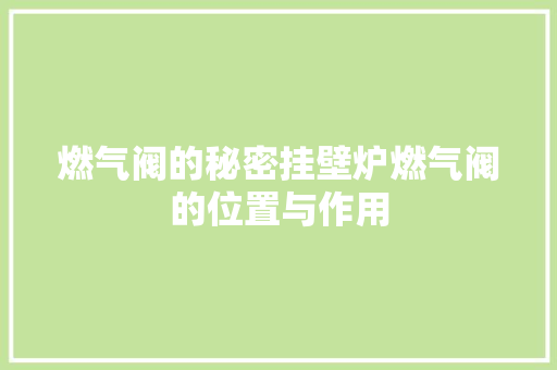 燃气阀的秘密挂壁炉燃气阀的位置与作用