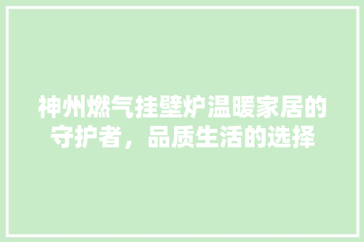 神州燃气挂壁炉温暖家居的守护者，品质生活的选择