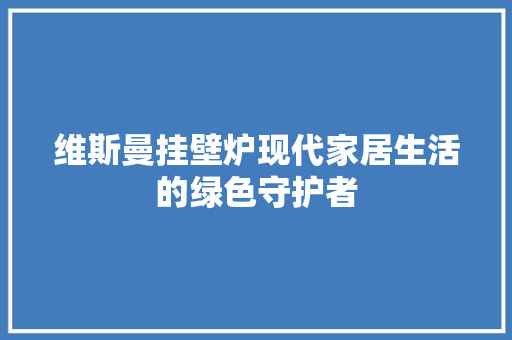 维斯曼挂壁炉现代家居生活的绿色守护者