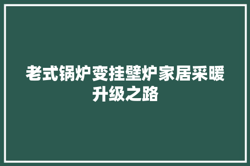 老式锅炉变挂壁炉家居采暖升级之路