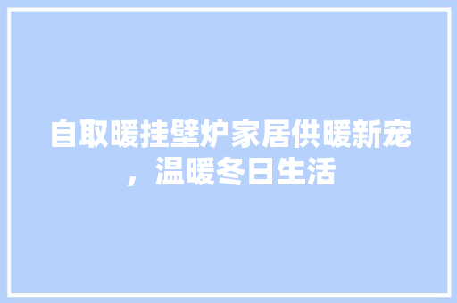 自取暖挂壁炉家居供暖新宠，温暖冬日生活