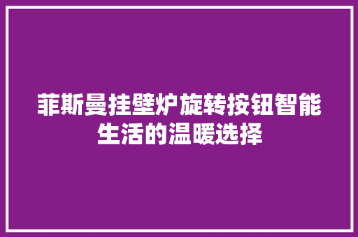 菲斯曼挂壁炉旋转按钮智能生活的温暖选择