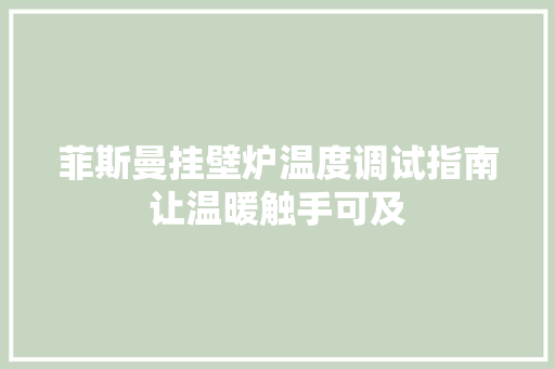 菲斯曼挂壁炉温度调试指南让温暖触手可及