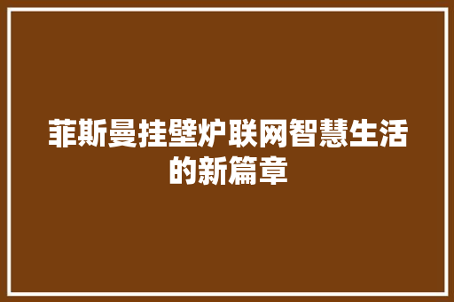 菲斯曼挂壁炉联网智慧生活的新篇章