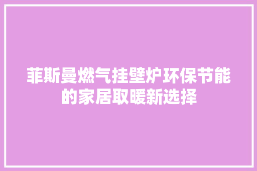 菲斯曼燃气挂壁炉环保节能的家居取暖新选择