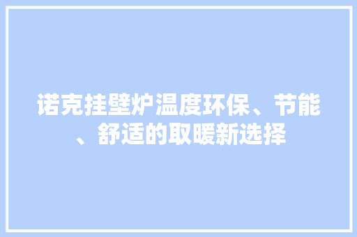 诺克挂壁炉温度环保、节能、舒适的取暖新选择