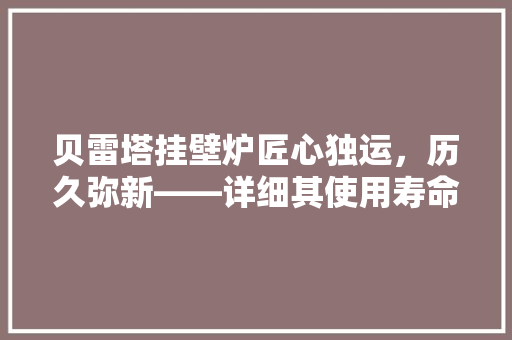 贝雷塔挂壁炉匠心独运，历久弥新——详细其使用寿命与保养之路