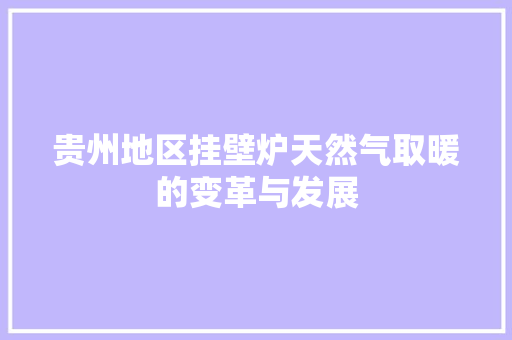 贵州地区挂壁炉天然气取暖的变革与发展
