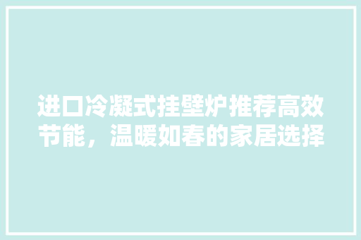 进口冷凝式挂壁炉推荐高效节能，温暖如春的家居选择