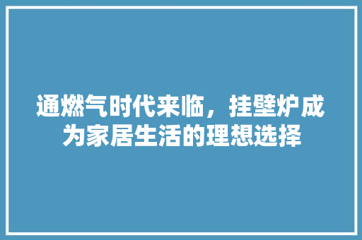 通燃气时代来临，挂壁炉成为家居生活的理想选择