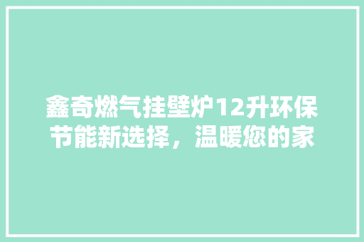 鑫奇燃气挂壁炉12升环保节能新选择，温暖您的家