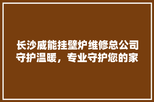 长沙威能挂壁炉维修总公司守护温暖，专业守护您的家居安全