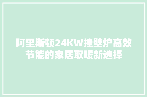 阿里斯顿24KW挂壁炉高效节能的家居取暖新选择