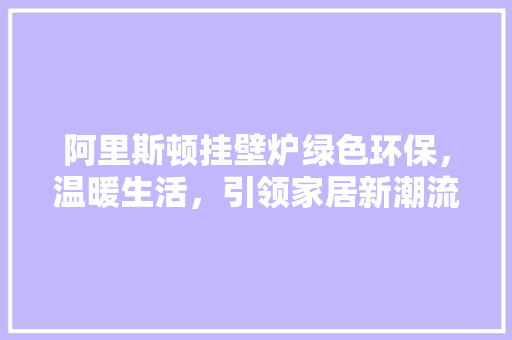 阿里斯顿挂壁炉绿色环保，温暖生活，引领家居新潮流