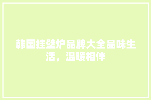 韩国挂壁炉品牌大全品味生活，温暖相伴