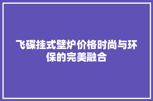 飞碟挂式壁炉价格时尚与环保的完美融合 综合便民