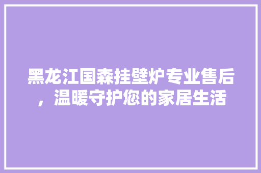 黑龙江国森挂壁炉专业售后，温暖守护您的家居生活