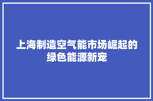上海制造空气能市场崛起的绿色能源新宠