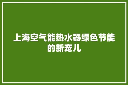 上海空气能热水器绿色节能的新宠儿