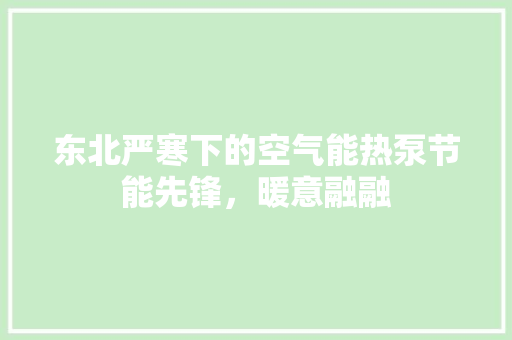 东北严寒下的空气能热泵节能先锋，暖意融融