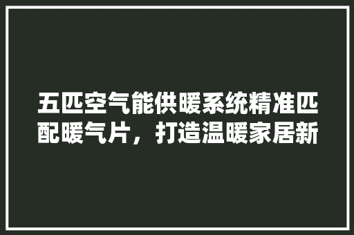 五匹空气能供暖系统精准匹配暖气片，打造温暖家居新体验