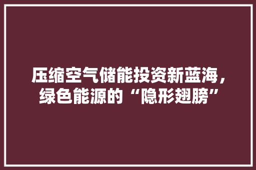 压缩空气储能投资新蓝海，绿色能源的“隐形翅膀”