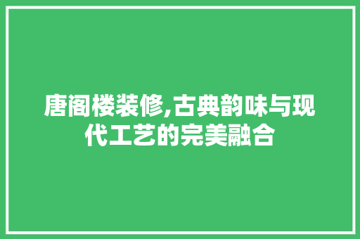唐阁楼装修,古典韵味与现代工艺的完美融合 唐阁楼装修,古典韵味与现代工艺的完美融合 厨房维修