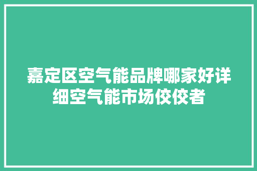 嘉定区空气能品牌哪家好详细空气能市场佼佼者
