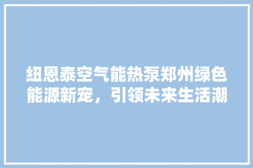 纽恩泰空气能热泵郑州绿色能源新宠，引领未来生活潮流