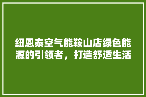 纽恩泰空气能鞍山店绿色能源的引领者，打造舒适生活新标杆