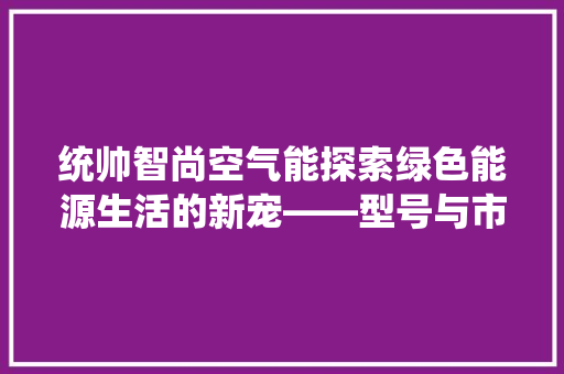 统帅智尚空气能探索绿色能源生活的新宠——型号与市场前景