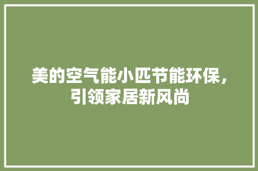 美的空气能小匹节能环保，引领家居新风尚
