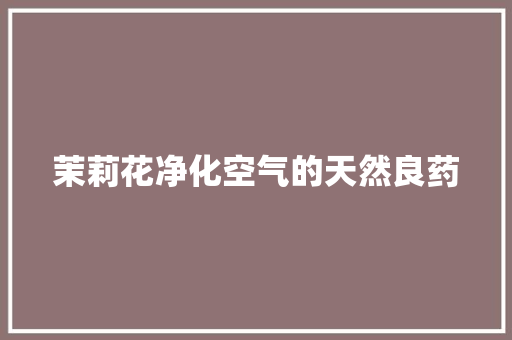茉莉花净化空气的天然良药 家电维修