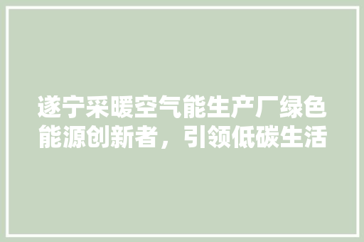 遂宁采暖空气能生产厂绿色能源创新者，引领低碳生活新潮流
