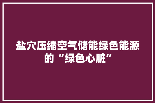 盐穴压缩空气储能绿色能源的“绿色心脏”