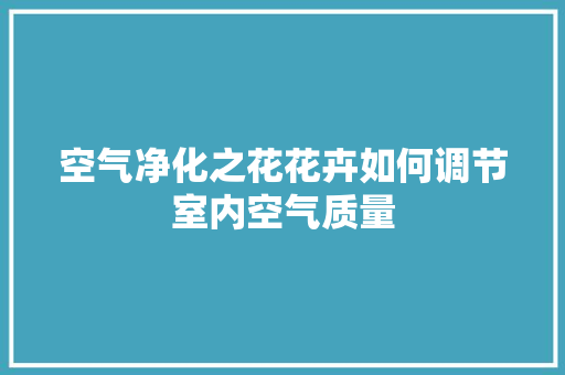 空气净化之花花卉如何调节室内空气质量