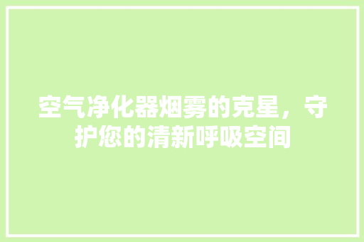 空气净化器烟雾的克星，守护您的清新呼吸空间