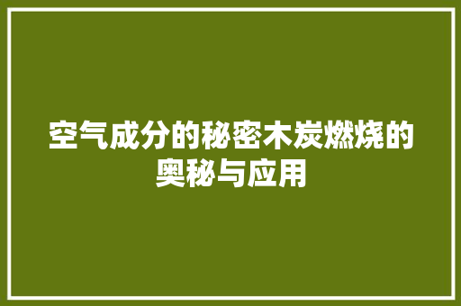 空气成分的秘密木炭燃烧的奥秘与应用 厨房维修