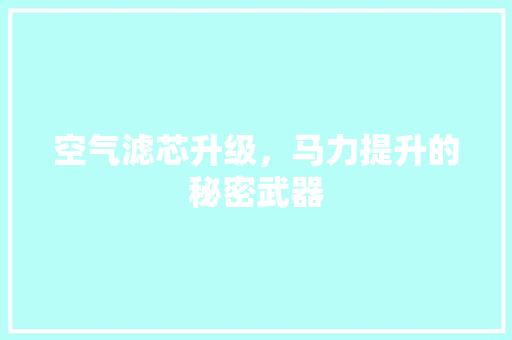 空气滤芯升级，马力提升的秘密武器