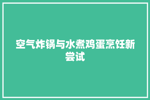 空气炸锅与水煮鸡蛋烹饪新尝试