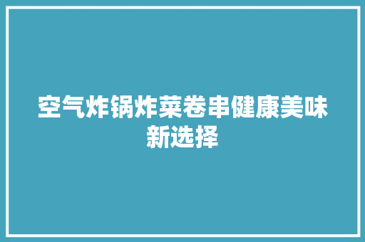 空气炸锅炸菜卷串健康美味新选择