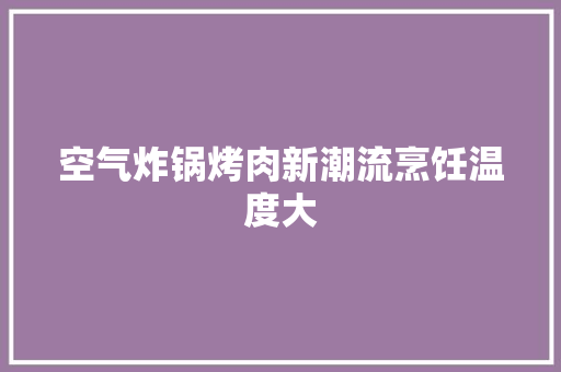 空气炸锅烤肉新潮流烹饪温度大
