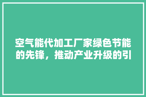 空气能代加工厂家绿色节能的先锋，推动产业升级的引擎