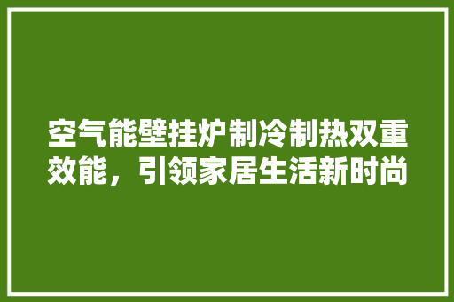 空气能壁挂炉制冷制热双重效能，引领家居生活新时尚
