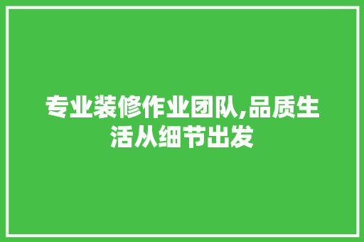 专业装修作业团队,品质生活从细节出发 专业装修作业团队,品质生活从细节出发 综合便民