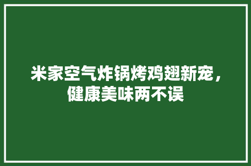 米家空气炸锅烤鸡翅新宠，健康美味两不误