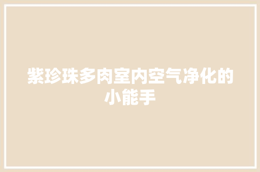 紫珍珠多肉室内空气净化的小能手