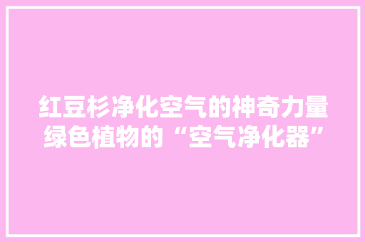 红豆杉净化空气的神奇力量绿色植物的“空气净化器”