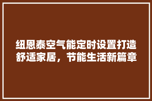 纽恩泰空气能定时设置打造舒适家居，节能生活新篇章
